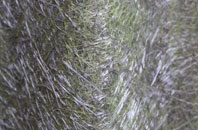 Cliff End fibreglass roof work